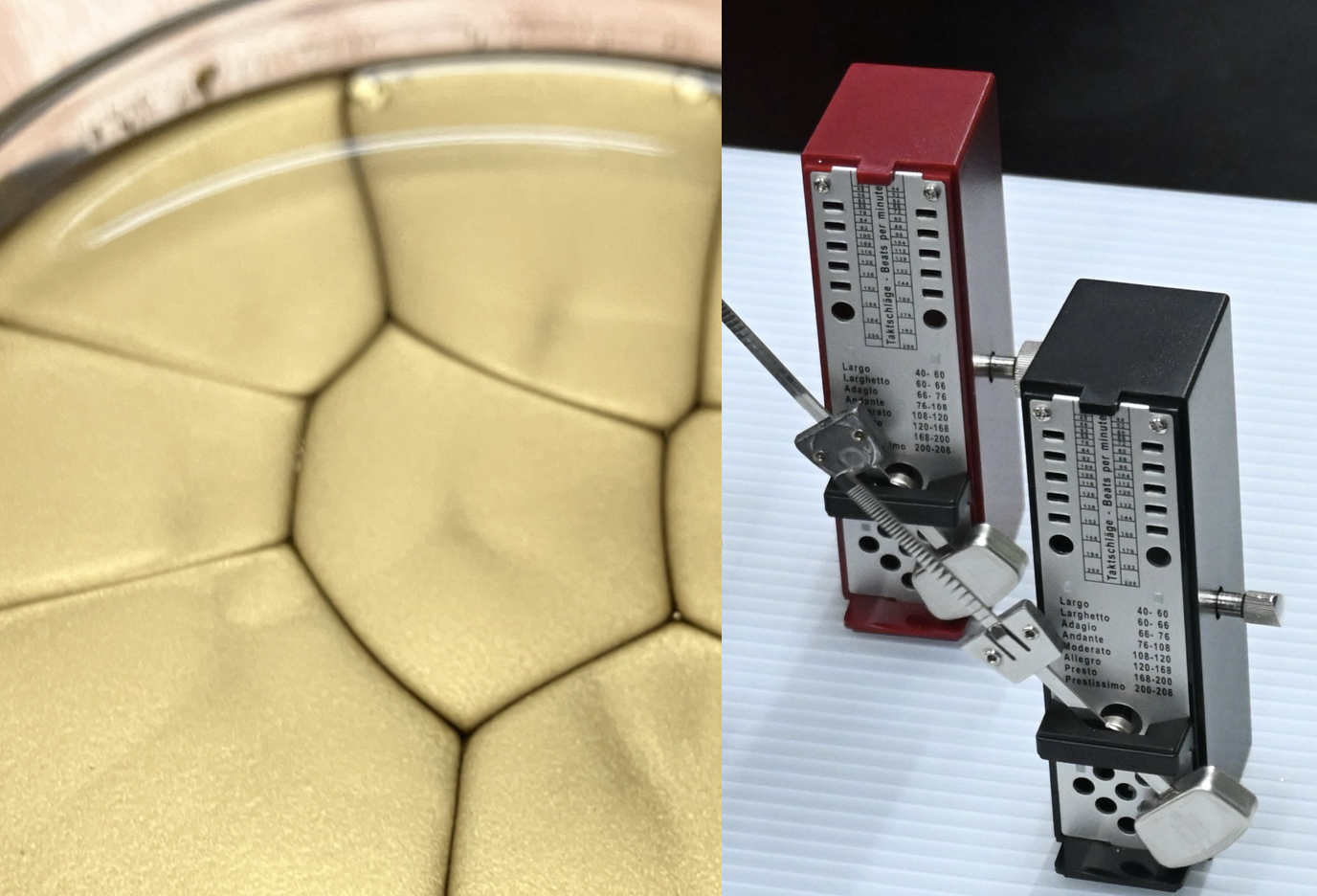 メトロノームやシリコンオイルを使った実験のイメージ
