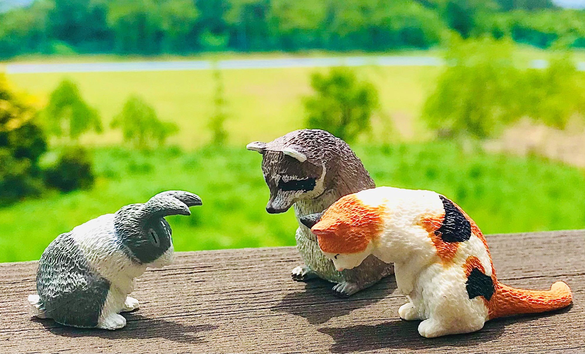 親子向けテーブルマナー講座のイメージ写真
